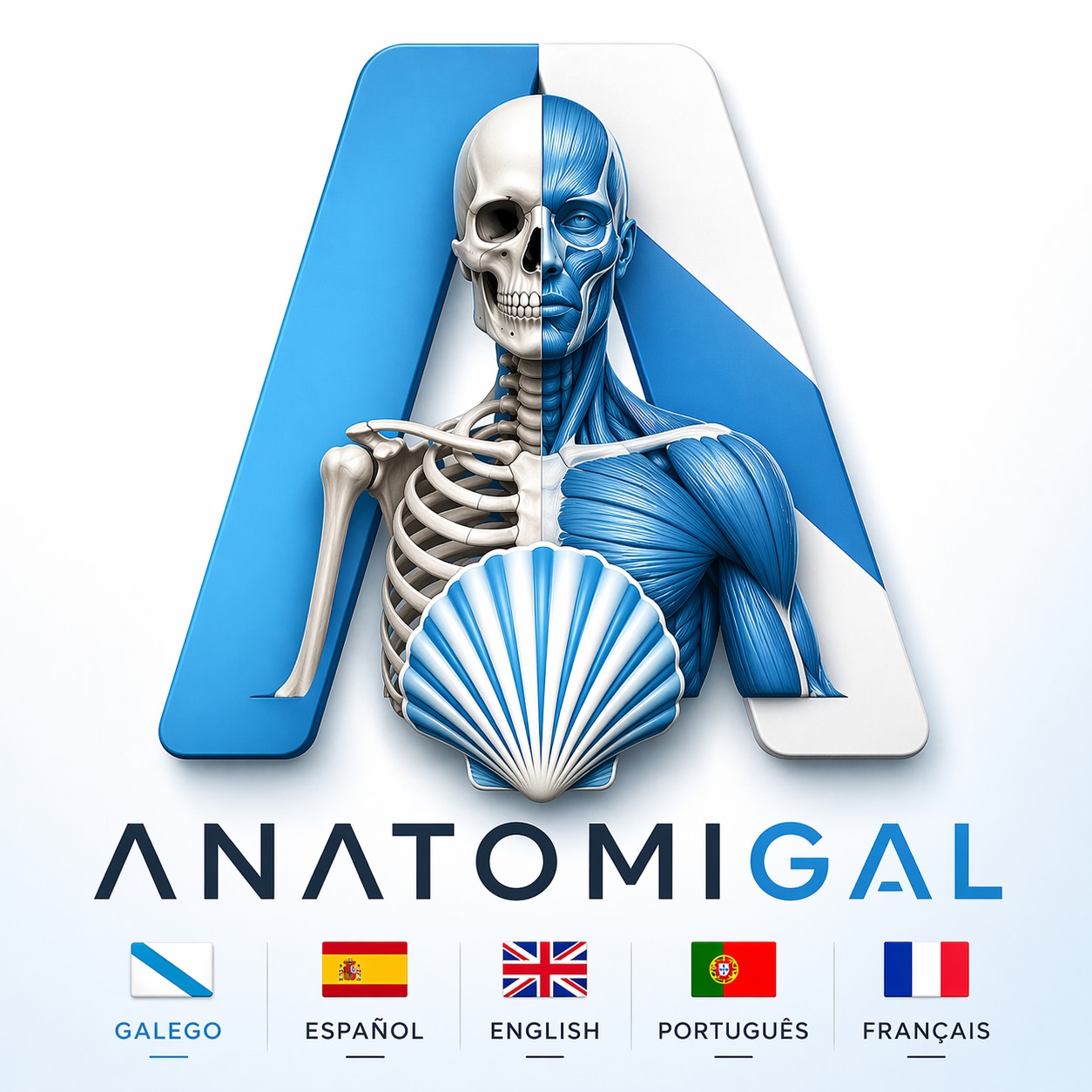 AnatomyGAL: a primeira app de anatomía en 3D en galego