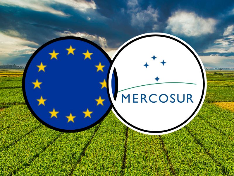 En vigor provisional o acordo UE‑Mercosur