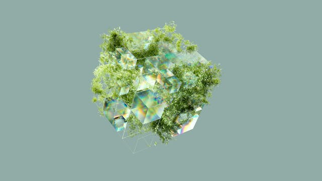 A produción ecolóxica consolídase como unha opción atractiva para a mocidade agraria