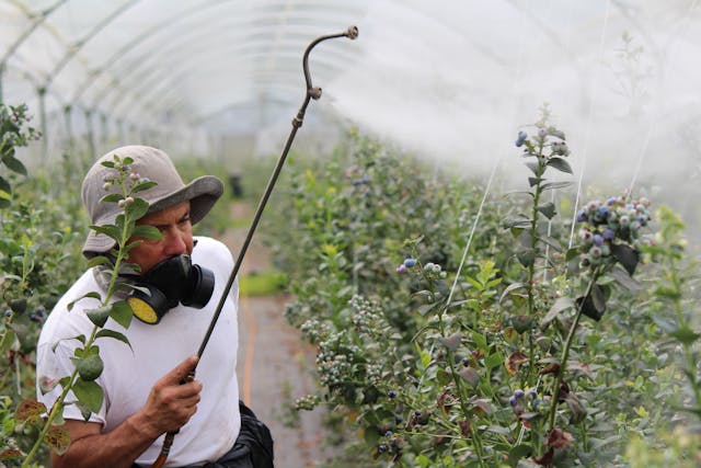 o 46 % dos alimentos en España contén polo menos un pesticida